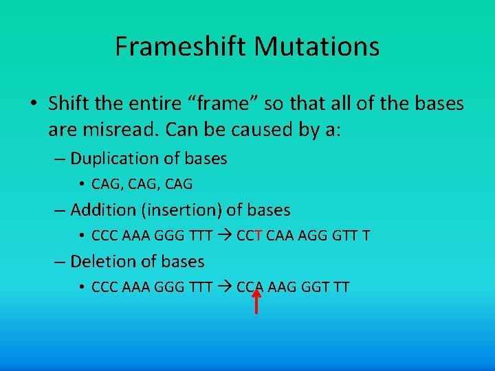 Frameshift Mutations • Shift the entire “frame” so that all of the bases are
