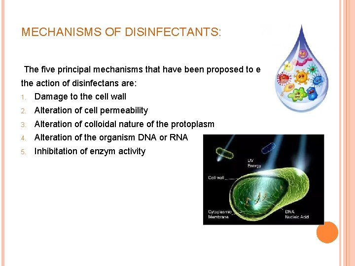 MECHANISMS OF DISINFECTANTS: The five principal mechanisms that have been proposed to explain the