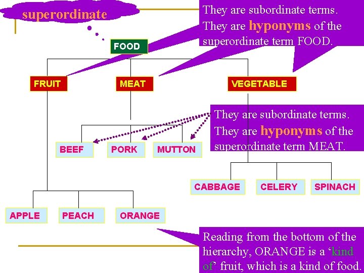 They are subordinate terms. They are hyponyms of the superordinate term FOOD. superordinate FOOD