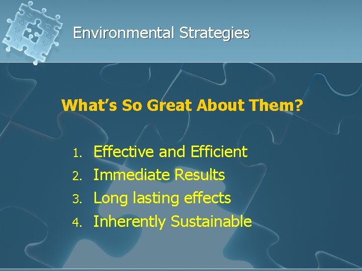 Environmental Strategies What’s So Great About Them? 1. 2. 3. 4. Effective and Efficient