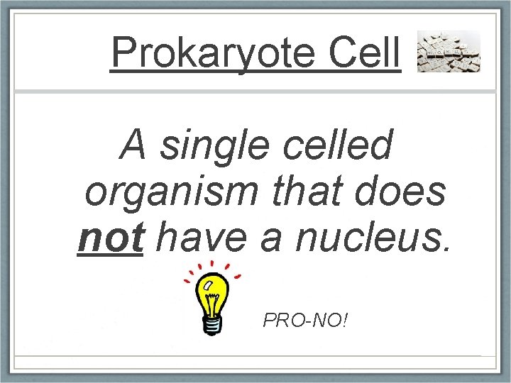 Prokaryote Cell A single celled organism that does not have a nucleus. PRO-NO! 