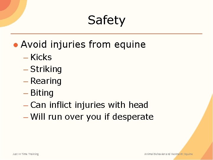 Safety ● Avoid injuries from equine – Kicks – Striking – Rearing – Biting