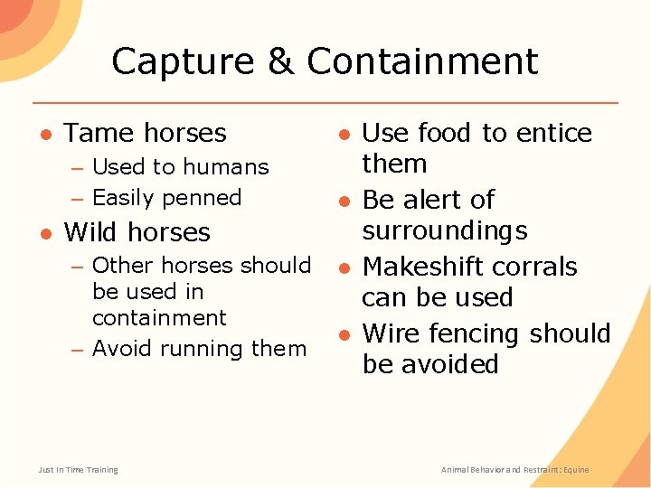 Capture & Containment ● Tame horses – Used to humans – Easily penned ●