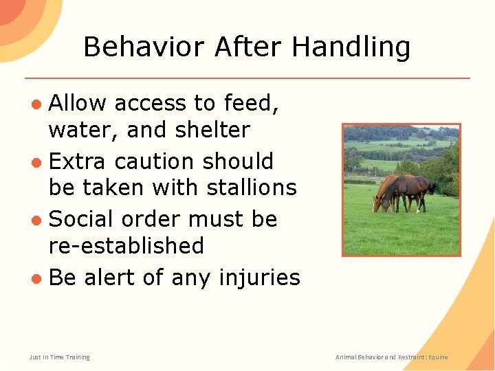 Behavior After Handling ● Allow access to feed, water, and shelter ● Extra caution