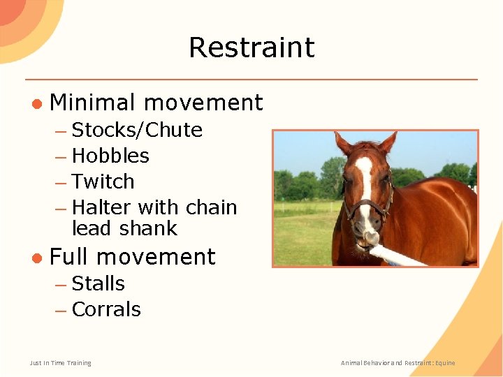 Restraint ● Minimal movement – Stocks/Chute – Hobbles – Twitch – Halter with chain