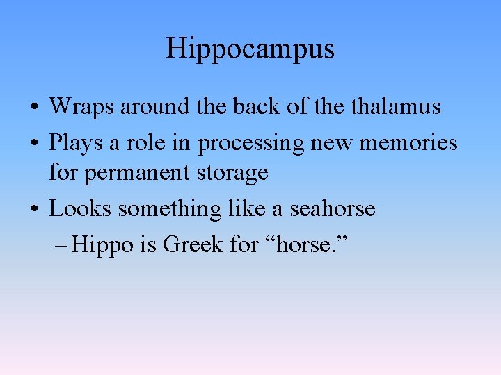 Hippocampus • Wraps around the back of the thalamus • Plays a role in