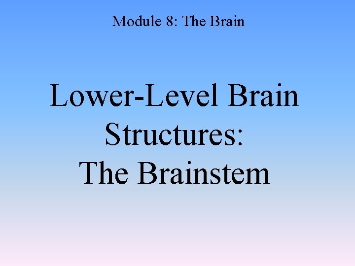 Module 8: The Brain Lower-Level Brain Structures: The Brainstem 