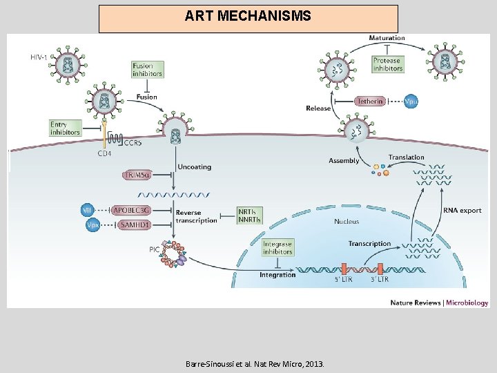 SUMMARY OF HIVMECHANISMS INFECTION MECHANISMS ART Barre-Sinoussi et al. Nat Rev Micro, 2013. 