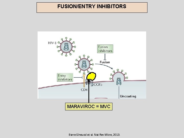 FUSION/ENTRY INHIBITORS MARAVIROC = MVC Barre-Sinoussi et al. Nat Rev Micro, 2013. 