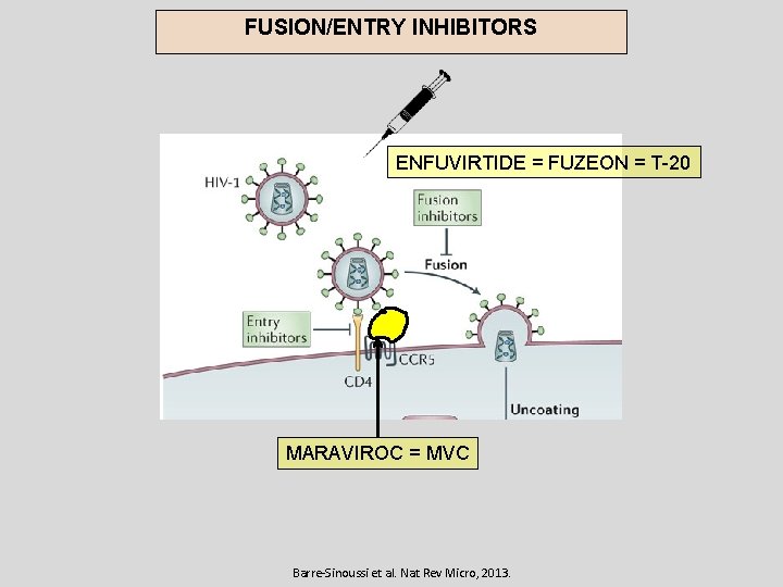 FUSION/ENTRY INHIBITORS ENFUVIRTIDE = FUZEON = T-20 MARAVIROC = MVC Barre-Sinoussi et al. Nat