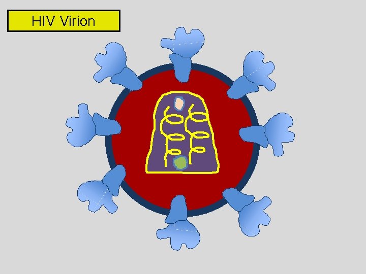 HIV Virion 