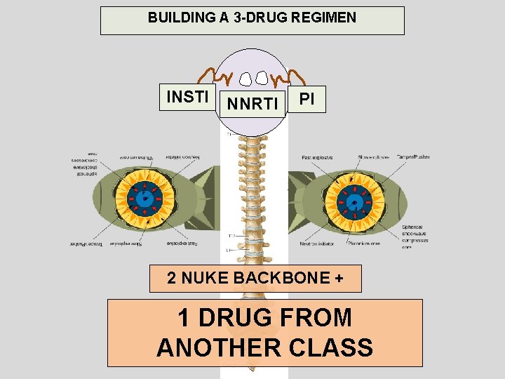 BUILDING A 3 -DRUG REGIMEN INSTI NNRTI PI 2 NUKE BACKBONE + 1 DRUG