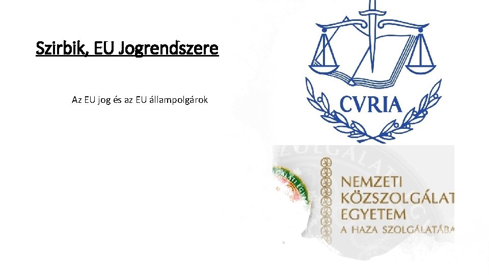Szirbik, EU Jogrendszere Az EU jog és az EU állampolgárok 