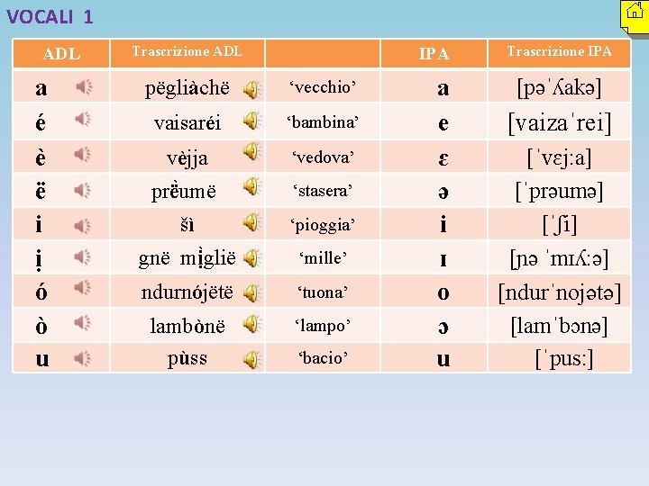 VOCALI 1 ADL a é è ë i ị ó ò u Trascrizione ADL