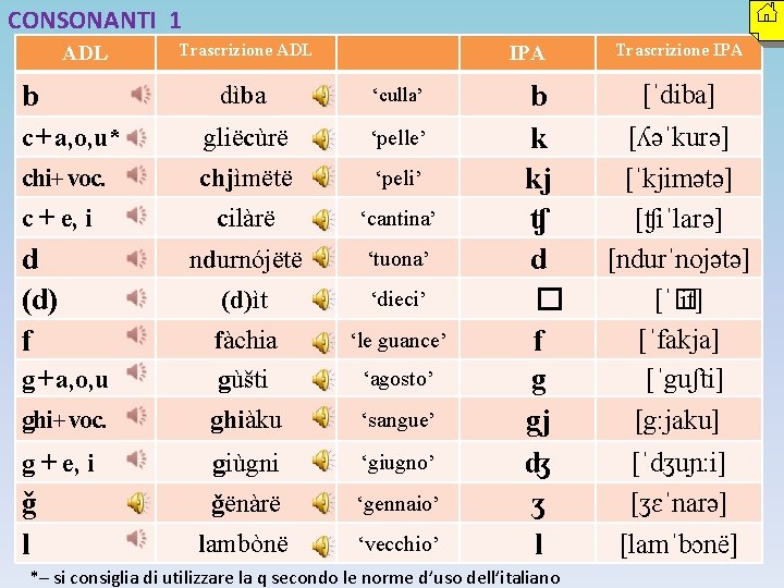 CONSONANTI 1 ADL b Trascrizione ADL IPA dìba ‘culla’ c + a, o, u*