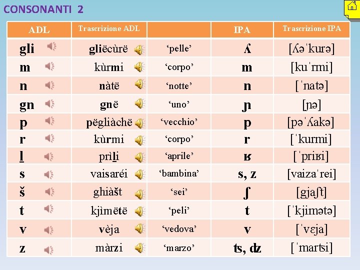 CONSONANTI 2 ADL gli m n gn p r ḻ s š t v