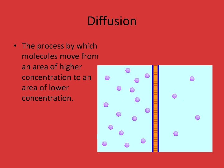 Diffusion • The process by which molecules move from an area of higher concentration Diffusion • The process by which molecules move from an area of higher concentration