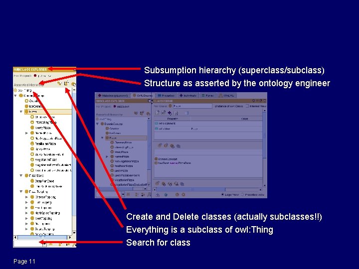 Classes. Tab: Asserted Class Hierarchy Subsumption hierarchy (superclass/subclass) Structure as asserted by the ontology