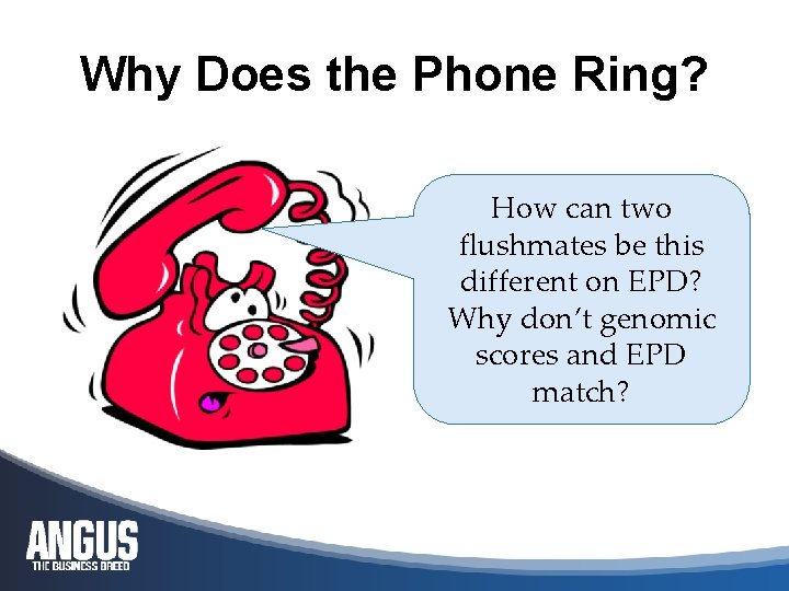Why Does the Phone Ring? How can two flushmates be this different on EPD?