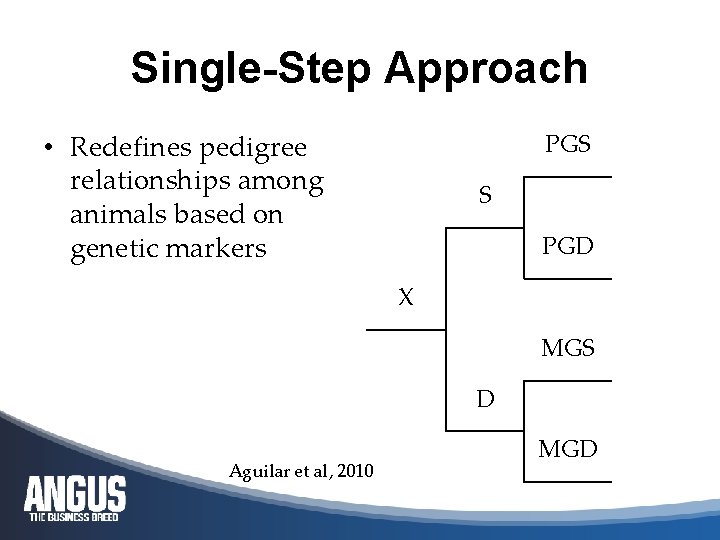 Single-Step Approach • Redefines pedigree relationships among animals based on genetic markers PGS S