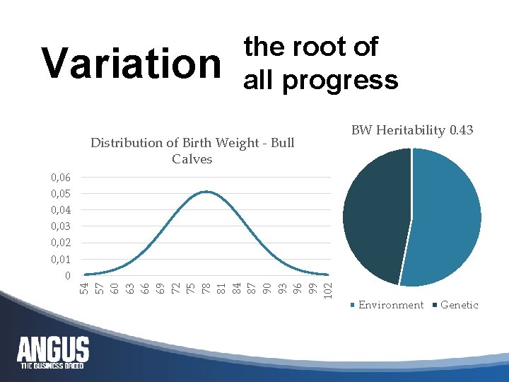 Variation the root of all progress Distribution of Birth Weight - Bull Calves BW