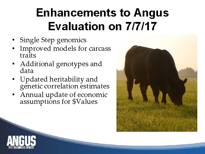 Enhancements to Angus Evaluation on 7/7/17 • Single Step genomics • Improved models for