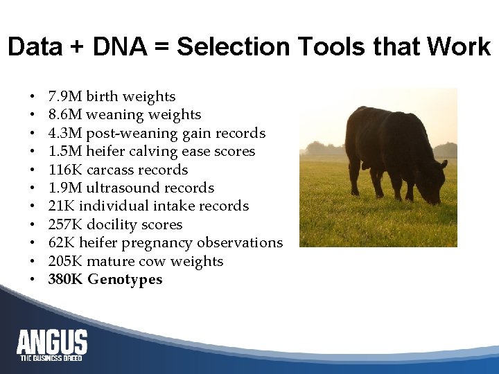 Data + DNA = Selection Tools that Work • • • 7. 9 M