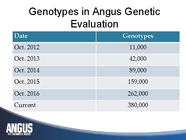 Genotypes in Angus Genetic Evaluation Date Genotypes Oct. 2012 11, 000 Oct. 2013 42,