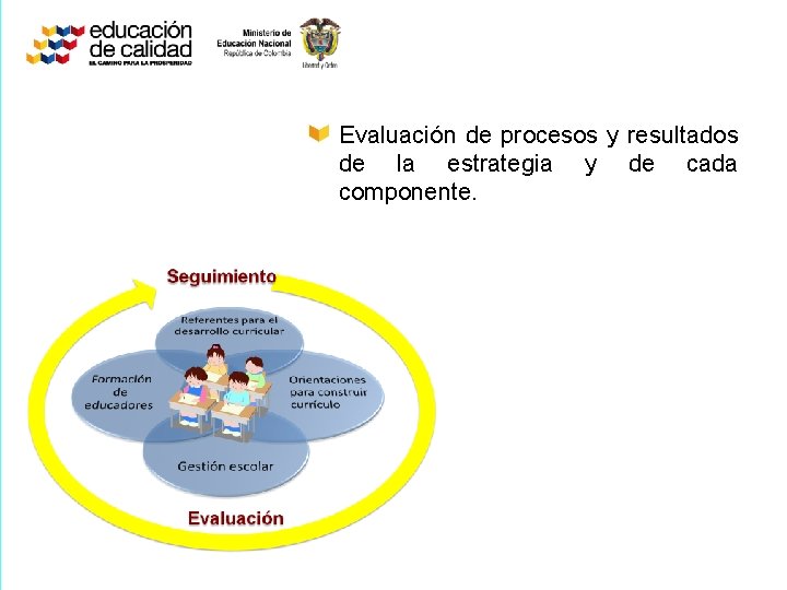 Evaluación de procesos y resultados de la estrategia y de cada componente. 