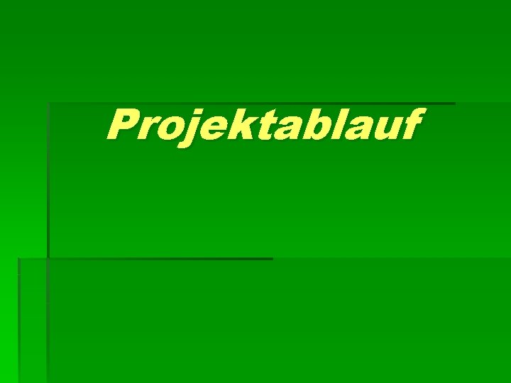 Projektablauf 