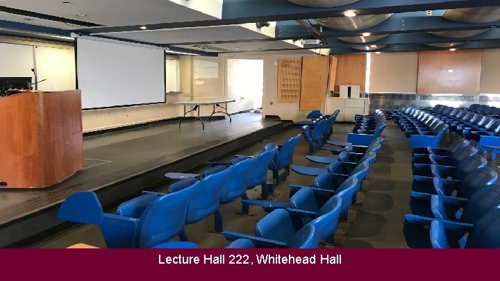 Lecture Hall 222, Whitehead Hall 