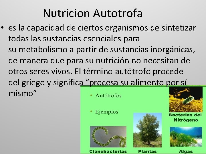 METABOLISMO El metabolismo se divide en dos procesos
