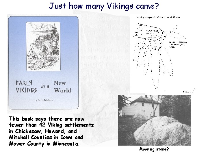 Just how many Vikings came? This book says there are now fewer than 42