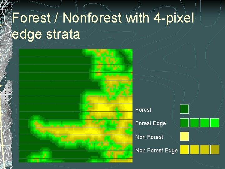 Forest / Nonforest with 4 -pixel edge strata Forest Edge Non Forest Edge 