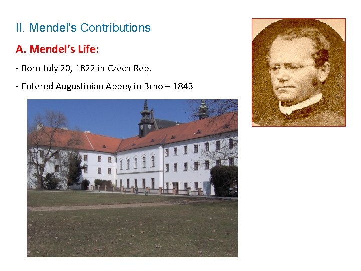 II. Mendel's Contributions A. Mendel’s Life: - Born July 20, 1822 in Czech Rep.