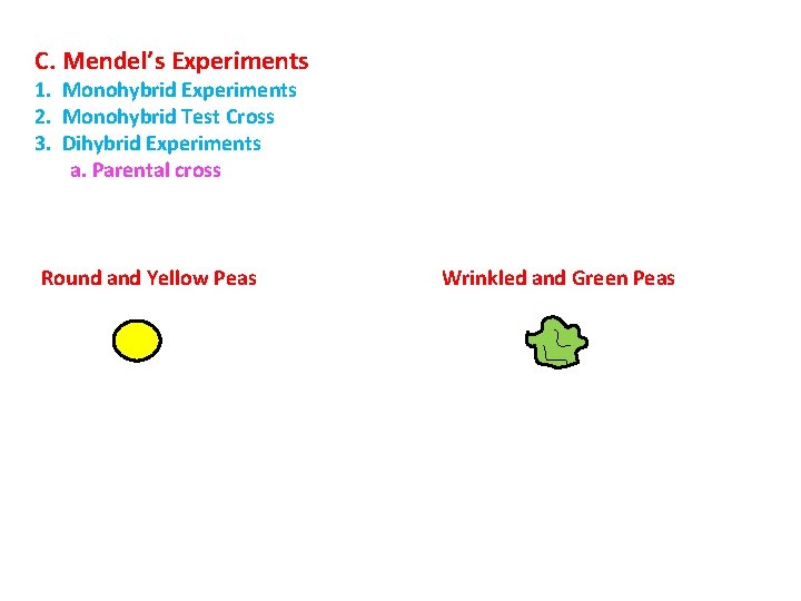C. Mendel’s Experiments 1. Monohybrid Experiments 2. Monohybrid Test Cross 3. Dihybrid Experiments a.