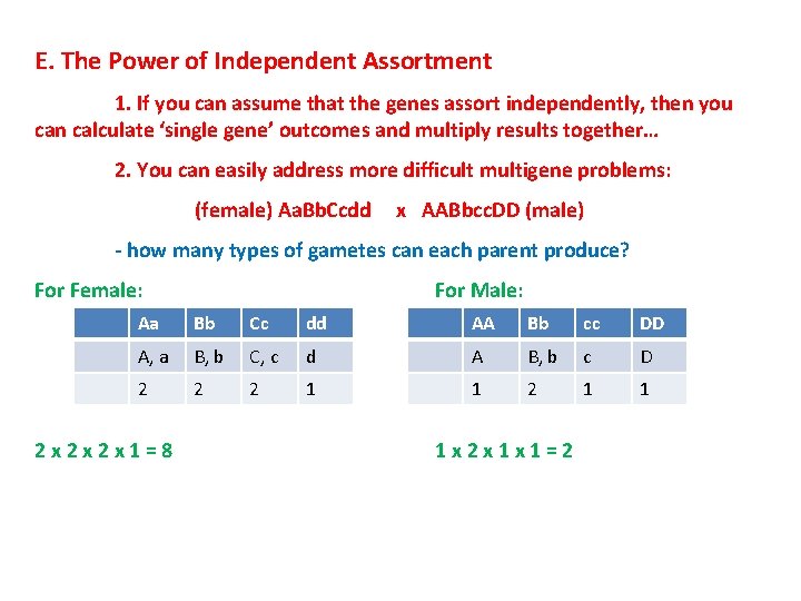 E. The Power of Independent Assortment 1. If you can assume that the genes