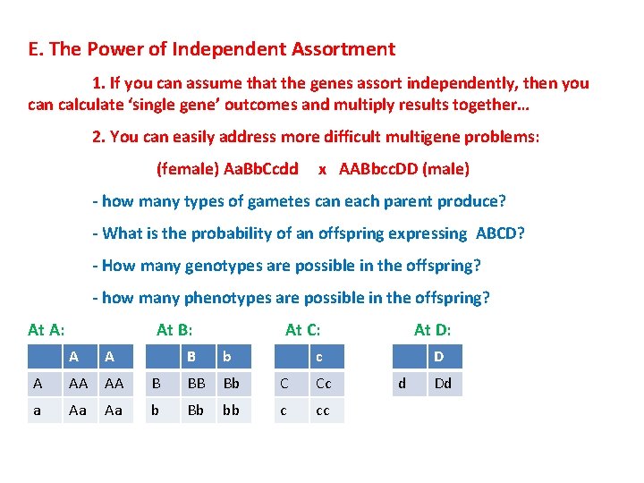 E. The Power of Independent Assortment 1. If you can assume that the genes