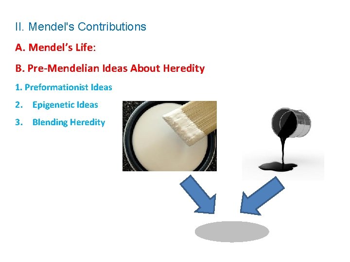 II. Mendel's Contributions A. Mendel’s Life: B. Pre-Mendelian Ideas About Heredity 1. Preformationist Ideas