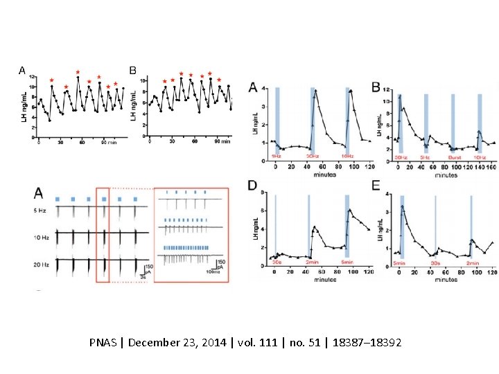 PNAS | December 23, 2014 | vol. 111 | no. 51 | 18387– 18392 PNAS | December 23, 2014 | vol. 111 | no. 51 | 18387– 18392