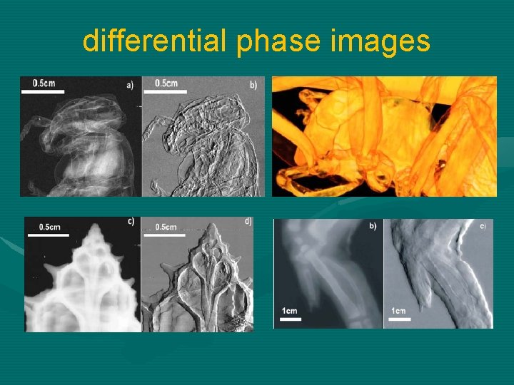 differential phase images 