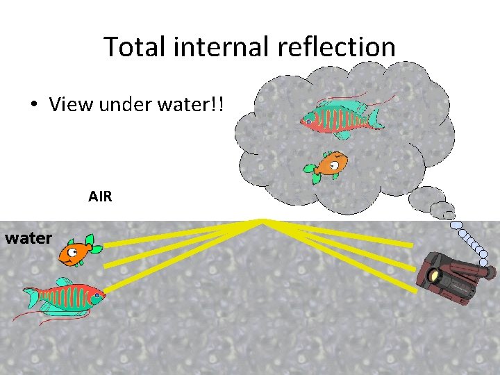 Total internal reflection • View under water!! AIR water 