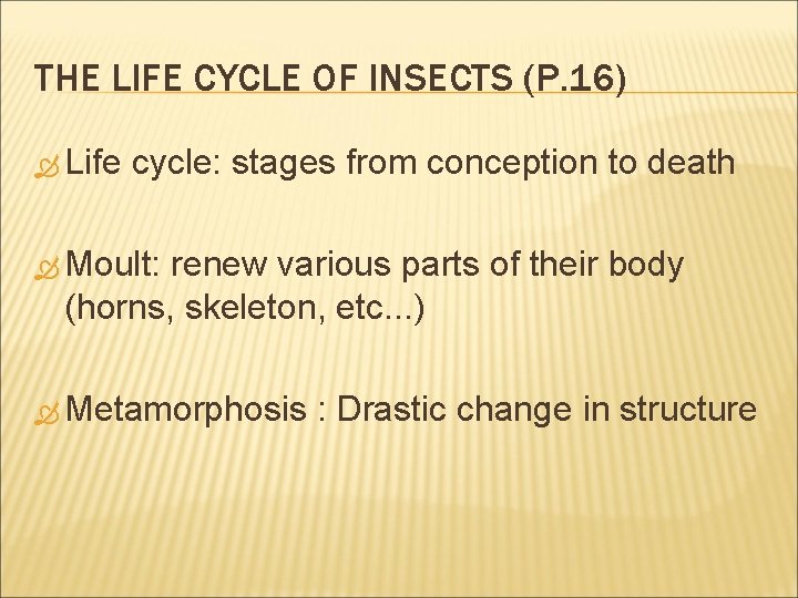 THE LIFE CYCLE OF INSECTS (P. 16) Life cycle: stages from conception to death