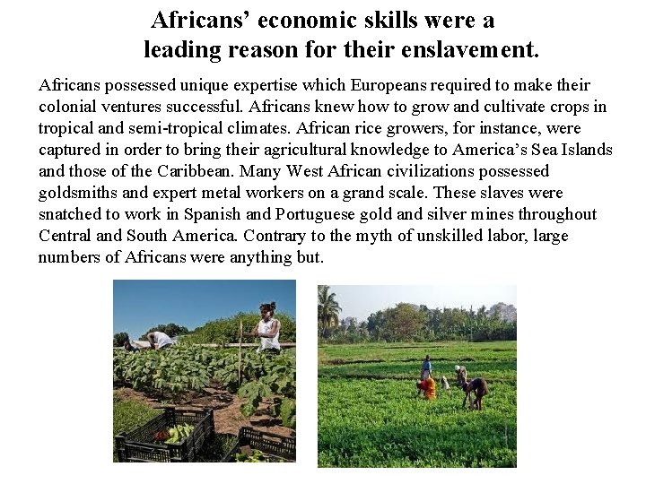 Africans’ economic skills were a leading reason for their enslavement. Africans possessed unique expertise