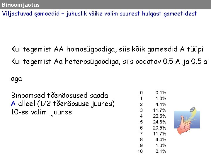 Binoomjaotus Viljastuvad gameedid – juhuslik väike valim suurest hulgast gameetidest Kui tegemist AA homosügoodiga,