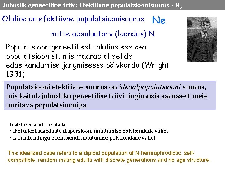 Juhuslik geneetiline triiv: Efektiivne populatsioonisuurus - N e Oluline on efektiivne populatsioonisuurus Ne mitte