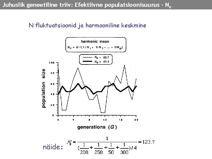 Juhuslik geneetiline triiv: Efektiivne populatsioonisuurus - N e N fluktuatsioonid ja harmooniline keskmine näide: