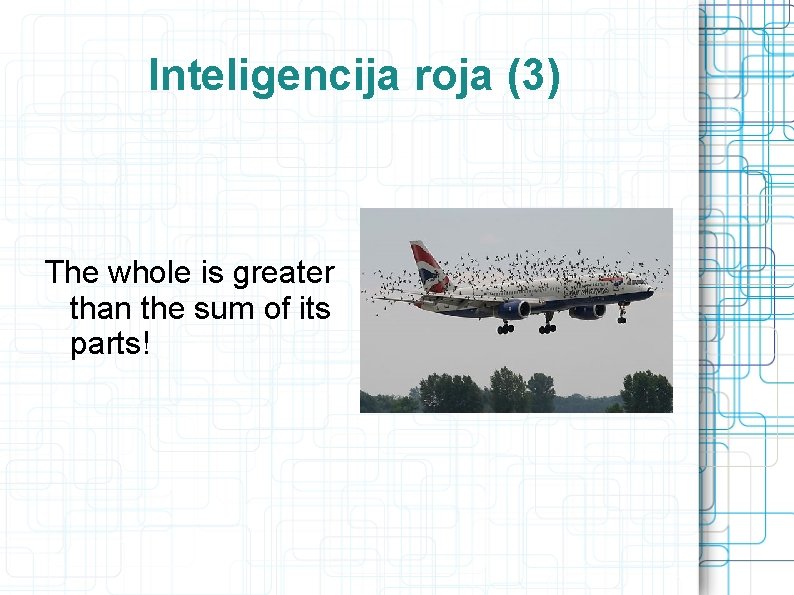 Inteligencija roja (3) The whole is greater than the sum of its parts! 