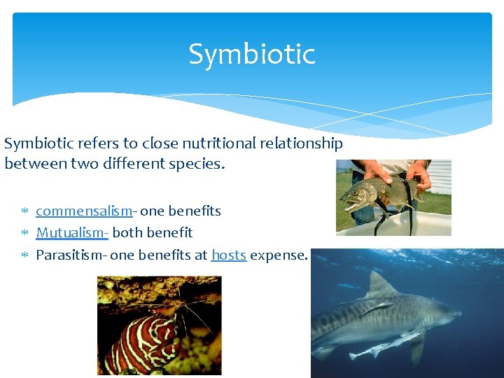 Symbiotic refers to close nutritional relationship between two different species. commensalism- one benefits Mutualism-