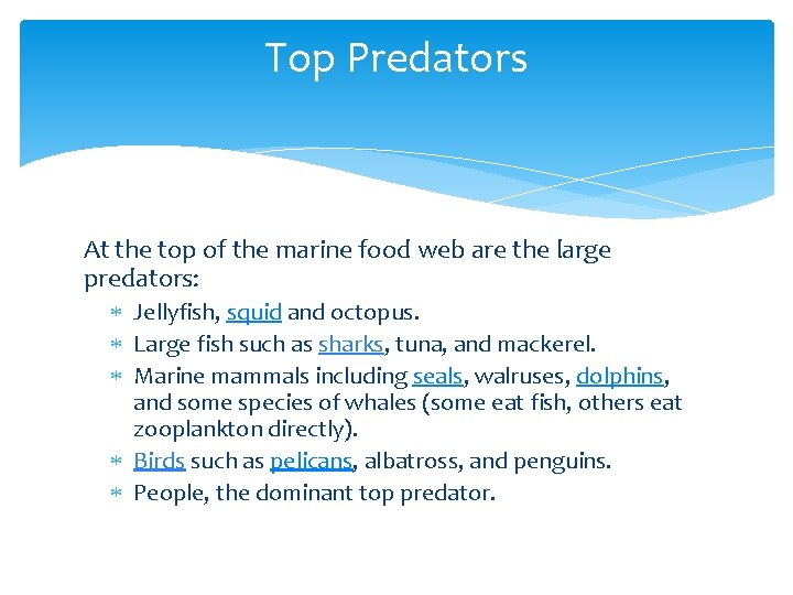 Top Predators At the top of the marine food web are the large predators: